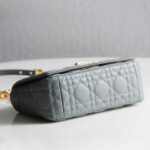 Christian Dior Small Dior Caro Bag